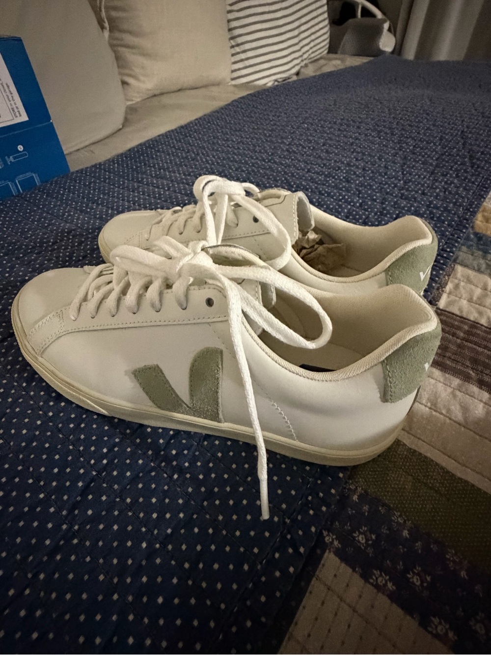 Veja White Leather Sneakers with Sage Green Suede V